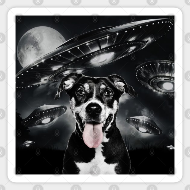 Selfie of Funny Dog And Aliens UFO  3 Sticker by Megadorim